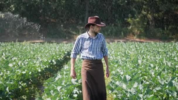 Agricoltore in corso sulla sua piantagione durante la lavorazione del sistema di irrigazione ad acqua — Video Stock