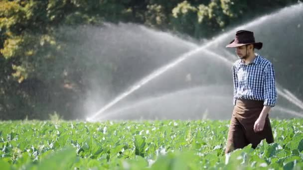 Agricoltore in corso sulla sua piantagione durante la lavorazione del sistema di irrigazione ad acqua — Video Stock