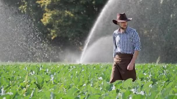 Agricultor que va a su plantación durante el trabajo del sistema de rociadores de agua — Vídeo de stock