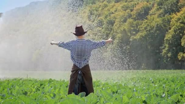 Vue arrière du fermier debout dans la plantation et lève les mains vers le haut . — Video