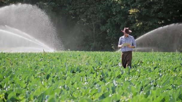 Фермер Использует Цифровой Планшет Время Мониторинга Своей Плантации Фермер Фартуке — стоковое видео