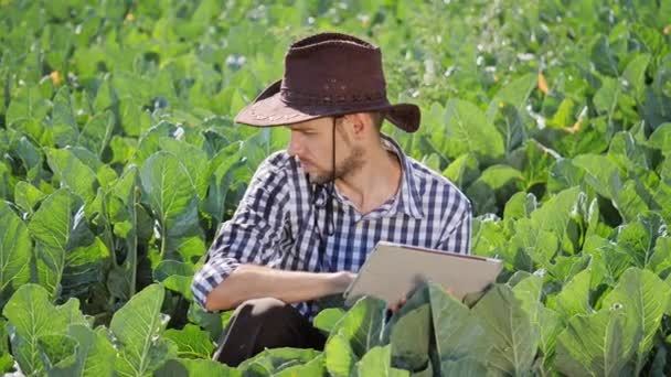 Agricultor usando tableta digital durante el monitoreo de su plantación . — Vídeo de stock
