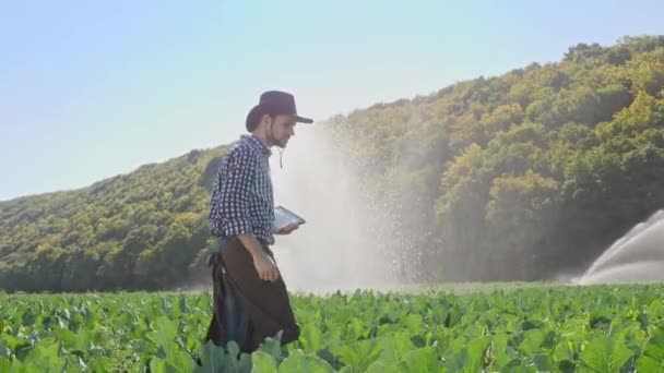 Landwirt nutzt digitales Tablet bei der Überwachung seiner Plantage — Stockvideo