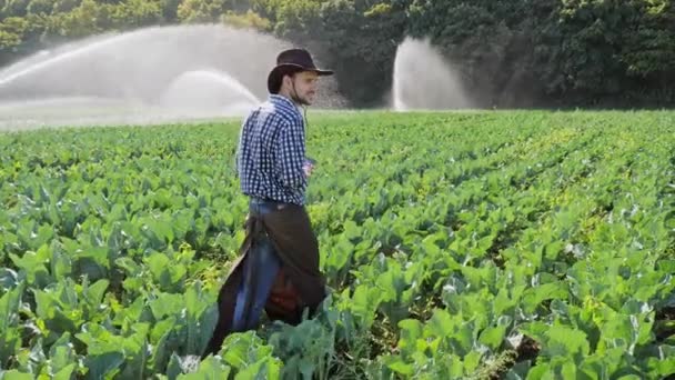 Agricultor usando tableta digital durante el monitoreo de su plantación — Vídeo de stock