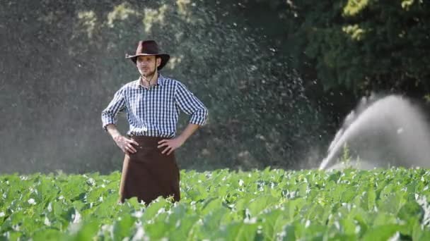 Agricultor de pé em sua plantação durante o funcionamento do sistema de aspersão de água — Vídeo de Stock