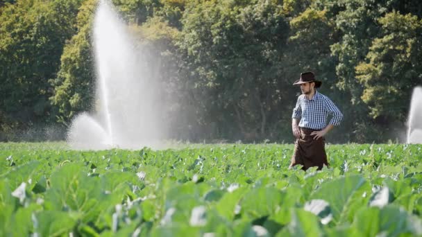 Γεωργός στέκεται στη φυτεία του κατά τη διάρκεια της εργασίας του συστήματος ψεκαστήρων νερού — Αρχείο Βίντεο
