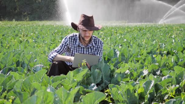 Rolnik za pomocą cyfrowego tabletu podczas monitorowania swojej plantacji. — Wideo stockowe