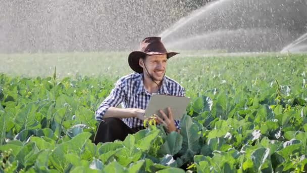 Landwirt nutzt digitales Tablet bei der Überwachung seiner Plantage. — Stockvideo