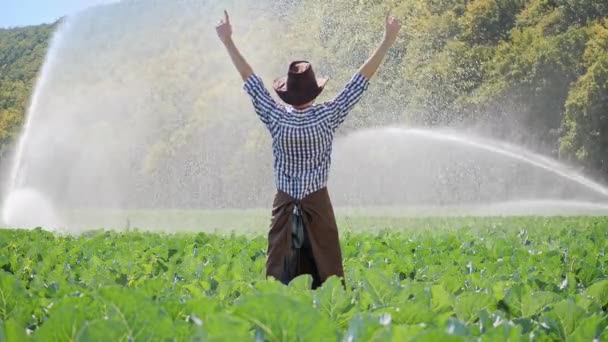 Visão traseira do agricultor em pé na plantação e levanta as mãos . — Vídeo de Stock