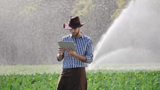 Фермер, использующий цифровые планшеты показывает жест да во время мониторинга своей плантации — стоковое видео