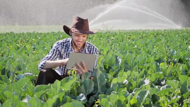 Rolnik za pomocą cyfrowego tabletu podczas monitorowania swojej plantacji. — Wideo stockowe