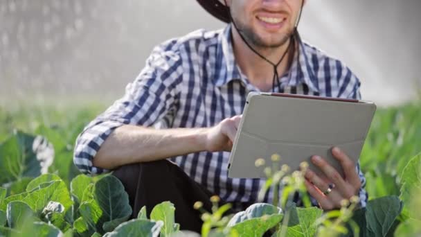 Közeli kép a gazda segítségével digitális tabletta, az ültetvény ellenőrzése során. — Stock videók