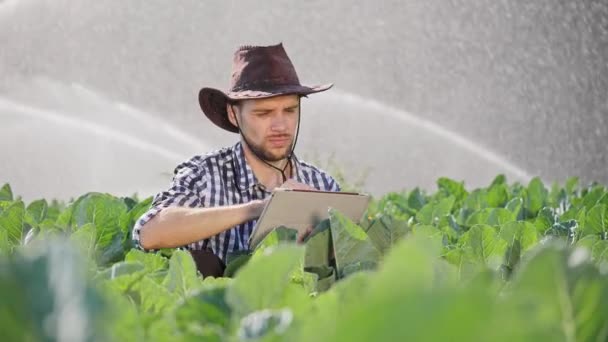 Farmář pomocí digitálních tabletu během sledování jeho plantáže. — Stock video