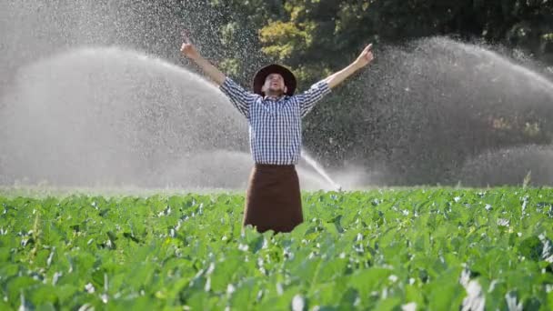 Armador de pie en la plantación y levanta las manos. Granjero feliz disfrutando del éxito — Vídeos de Stock