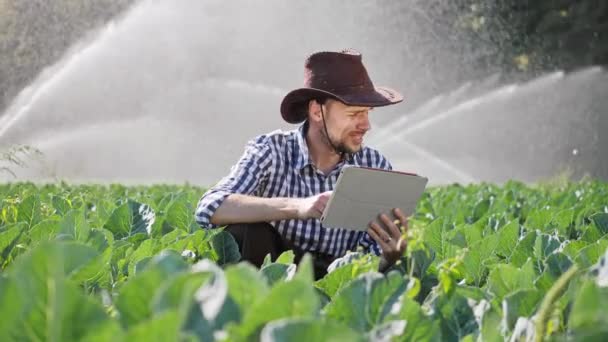Mezőgazdasági termelő használ digitális tabletta, az ültetvény ellenőrzése során. — Stock videók