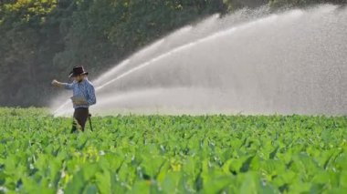 Dijital tablet kullanarak çiftçi jest Evet onun ekimi izleme sırasında gösterir