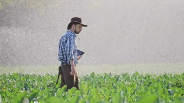 Landwirt nutzt digitales Tablet bei der Überwachung seiner Plantage — Stockvideo