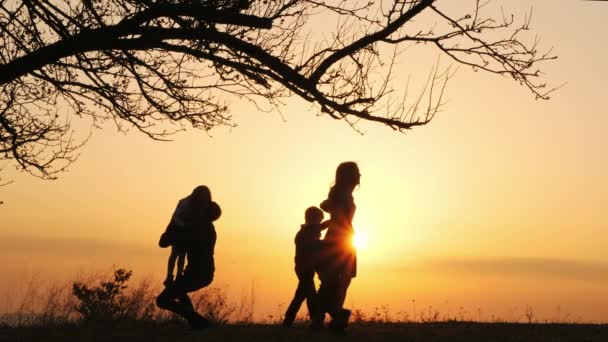 Silhuetas de família que passam o tempo juntos no prado perto durante o pôr do sol — Vídeo de Stock