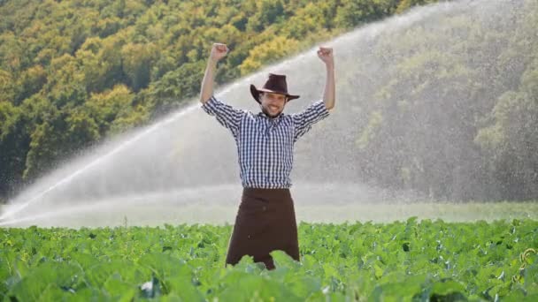 Rarmer áll az ültetvény és emelés kezeket fel. Boldog farmer élvezi siker — Stock videók