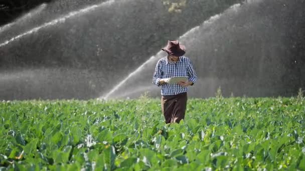 Фермер использует цифровой планшет во время мониторинга своей плантации — стоковое видео
