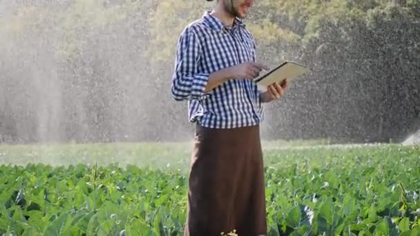 Jordbrukare som använder digitala tablett under övervakning hans plantation. — Stockvideo