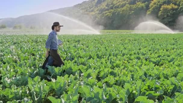 Landbouwproducent met gebruikmaking van digitale tablet tijdens de controle zijn plantage — Stockvideo