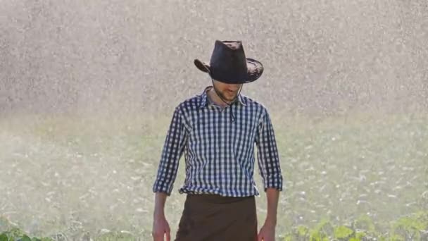 Farmer standing in plantation and raises his hands up. — Stock Video