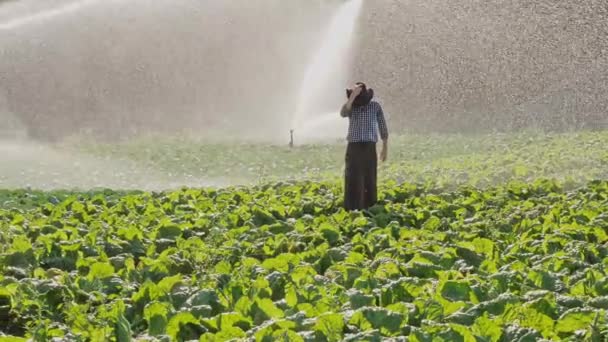Уставший фермер снимает шляпу во время орошения плантации — стоковое видео