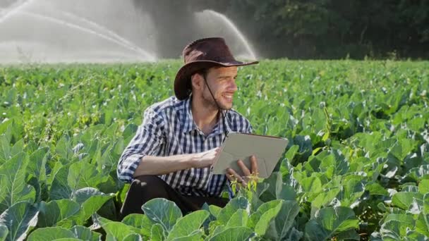 Agriculteur utilisant une tablette numérique pendant le suivi de sa plantation — Video