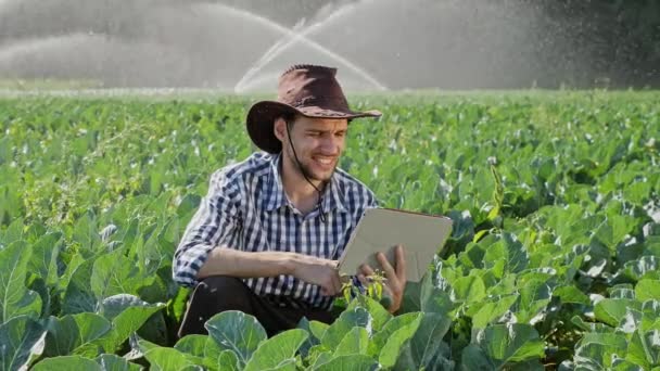 Mezőgazdasági termelő használ digitális tabletta, az ültetvény ellenőrzése során — Stock videók