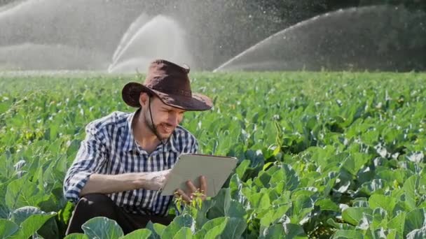 Mezőgazdasági termelő használ digitális tabletta, az ültetvény ellenőrzése során — Stock videók