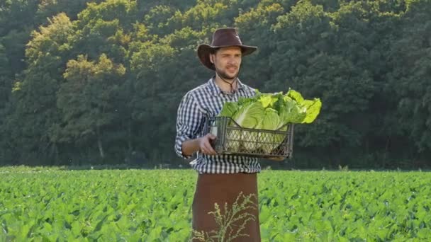Щасливий Фермер Показує Камері Ящик Свіжих Капусти Своїй Плантації Молодий — стокове відео