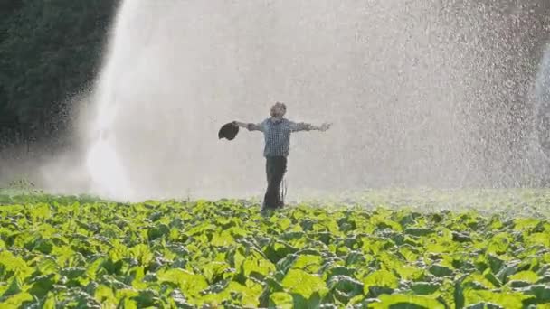 Agricultor feliz y cansado levanta las manos durante el riego de la plantación . — Vídeos de Stock