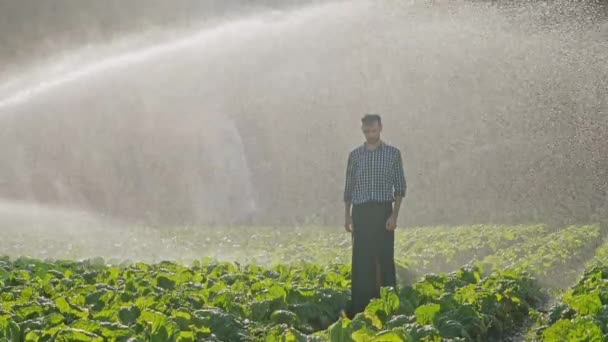 Moe boer permanent tijdens irrigatie van plantage. — Stockvideo