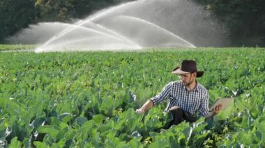 Çiftçi onun ekimi izleme sırasında dijital tablet kullanma