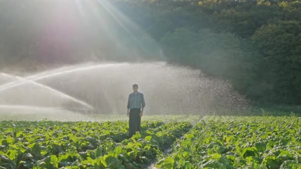 Agricultor cansado em pé durante a irrigação da plantação . — Vídeo de Stock