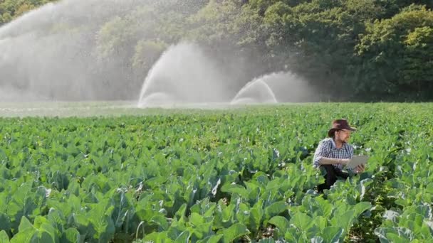 Фермер использует цифровой планшет во время мониторинга своей плантации — стоковое видео