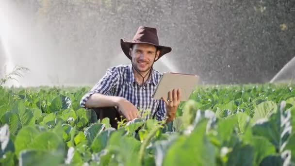 Farmer montre pouce à pouce pendant la surveillance de sa plantation à l'aide d'une tablette numérique . — Video