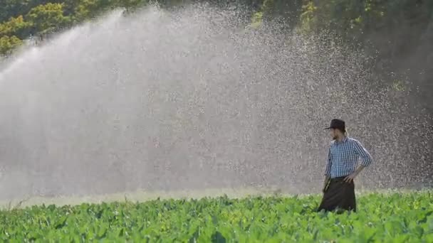 Fermier debout sur sa plantation pendant le travail du système d'arrosage d'eau — Video