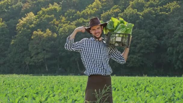 Un granjero cargando una caja de coles en su hombro . — Vídeos de Stock