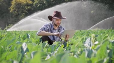 Çiftçi onun ekimi izleme sırasında dijital tablet kullanma.