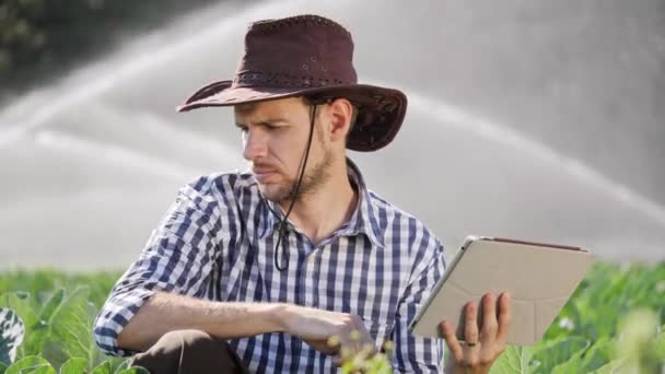 Primer plano del agricultor utilizando tableta digital durante el seguimiento de su plantación . — Vídeos de Stock