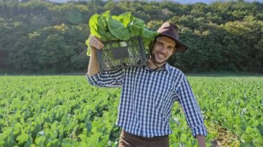 Lahana plantation, onun omzuna bir kasa taşıyan bir çiftçi.