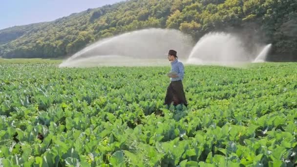 Landbouwproducent met gebruikmaking van digitale tablet tijdens de controle zijn plantage — Stockvideo