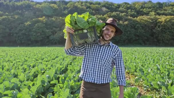 Rolnik przenoszenia skrzynkę z kapusty na jego ramieniu plantacji. — Wideo stockowe