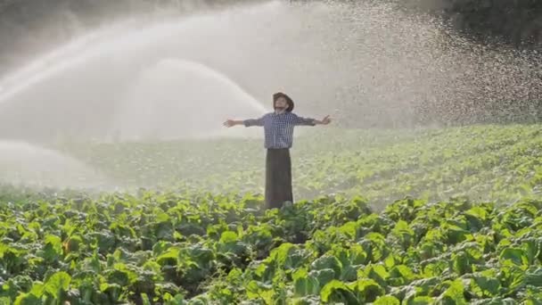 Agricultor em pé na plantação e levanta as mãos . — Vídeo de Stock