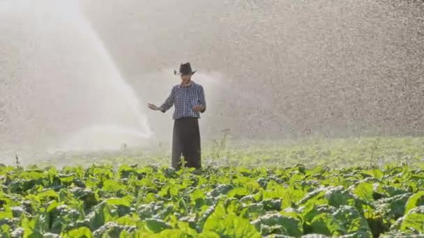 Farmář stojící v plantáži a zvedá ruce nahoru. — Stock video