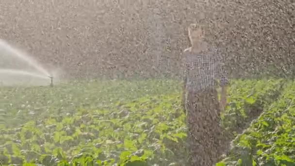 Farmer going on plantation and raises his hands up. — Stock Video