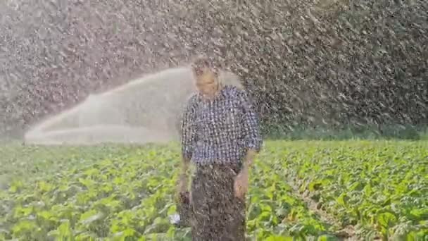 Fermier heureux et fatigué lève les mains pendant l'irrigation de la plantation . — Video