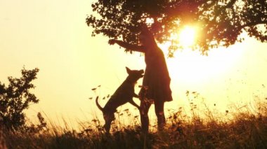 Siluetleri eğitim ve onun sevimli köpek ile şaşırtıcı günbatımı sırasında oynayan kız